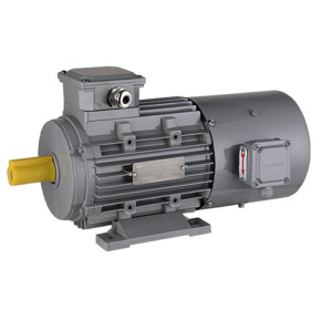 MOTEUR AVEC VENTILATEUR FORCE