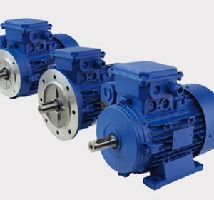 MOTEURS ELECTRIQUES TRIPHASES